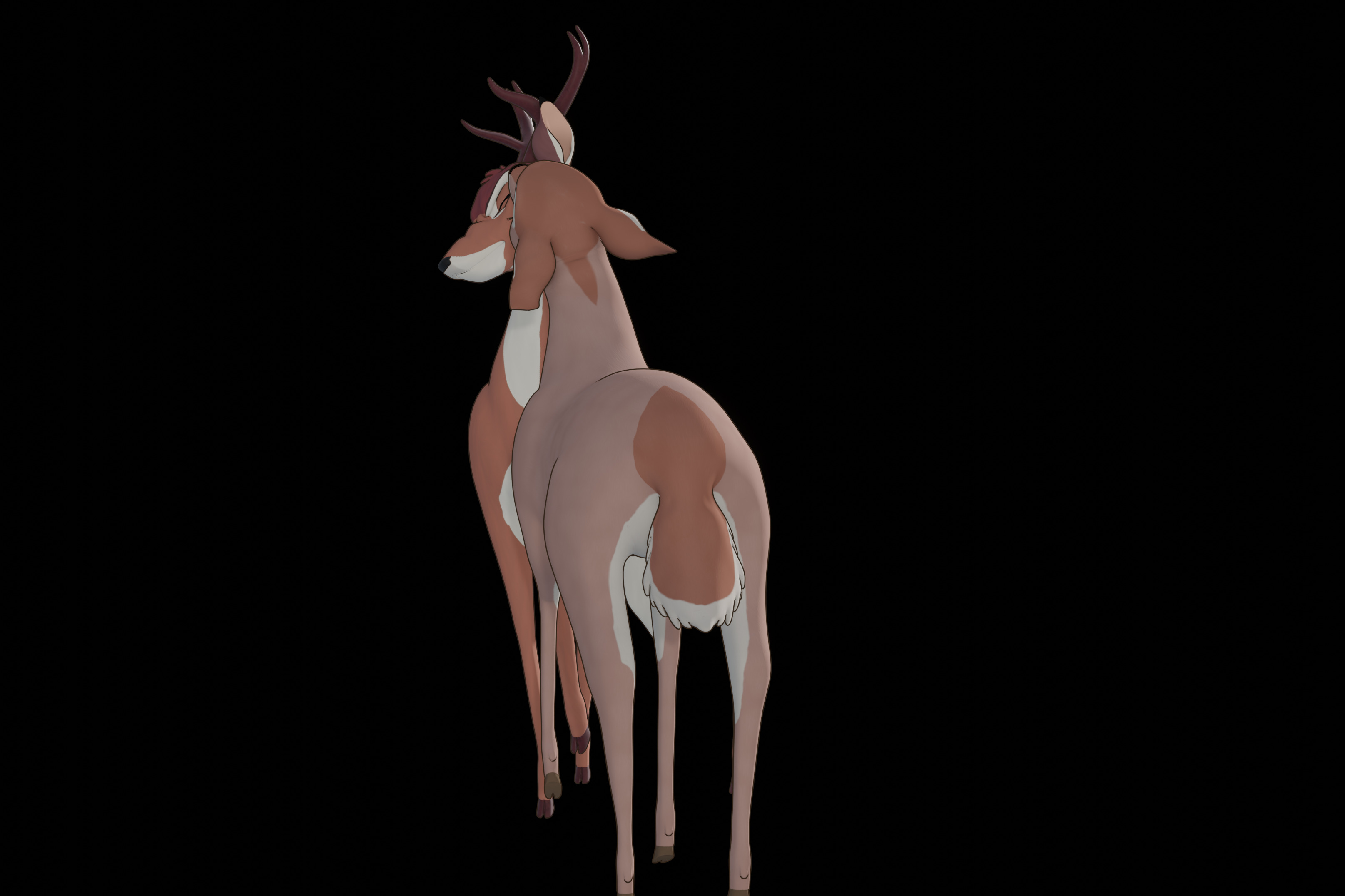 Faline Doe Low-poly 3D model_76