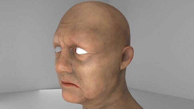Old Man 3D Model 3D model