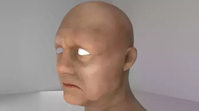 Old Man 3D Model