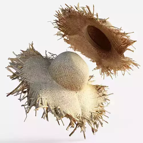 Straw Summer Hat Scanned