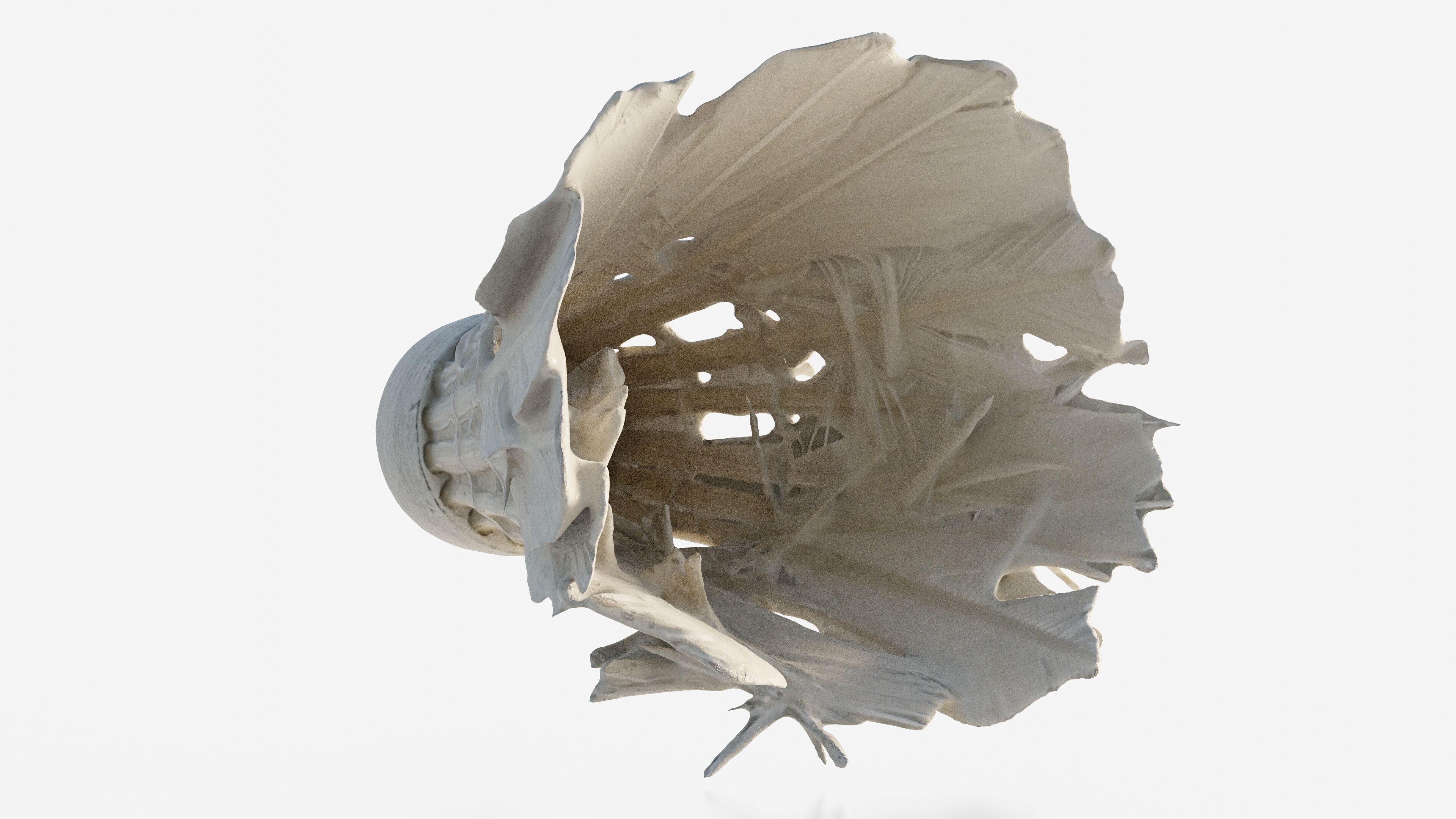 Scanned badminton shuttlecock Low-poly 3D model_6