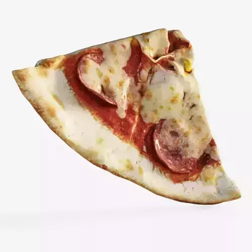 Scanned slice of pizza
