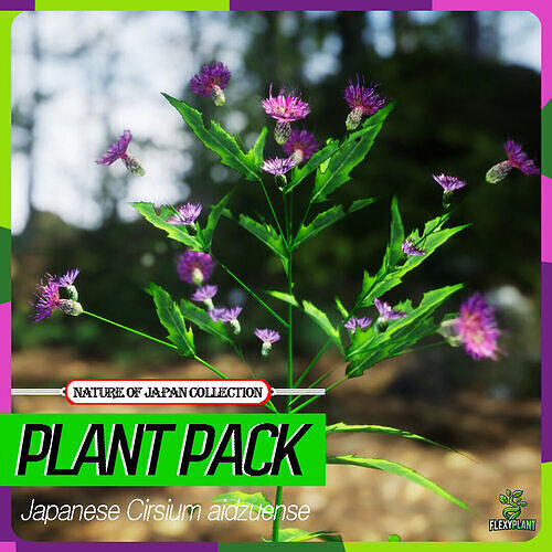 Japanese Endemic Species Plant - 4 Cirsium aidzuense Flower Low-poly 3D model