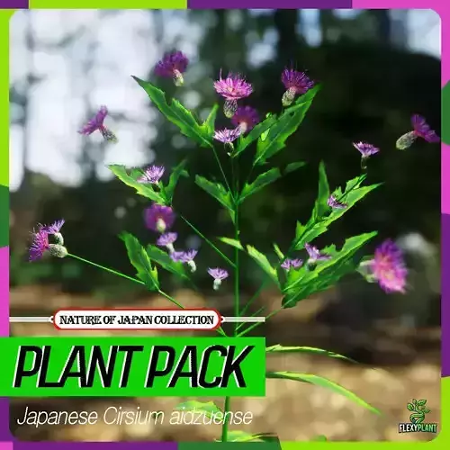 Japanese Endemic Species Plant - 4 Cirsium aidzuense Flower Low-poly 3D model