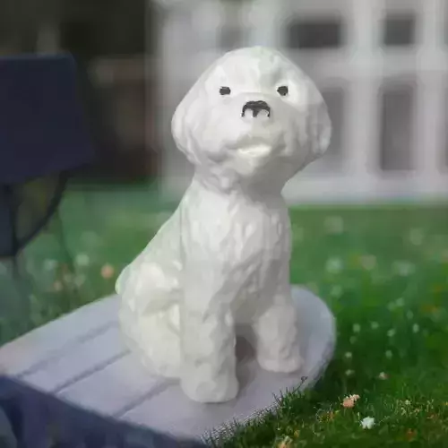 Bichon dog  3D print model