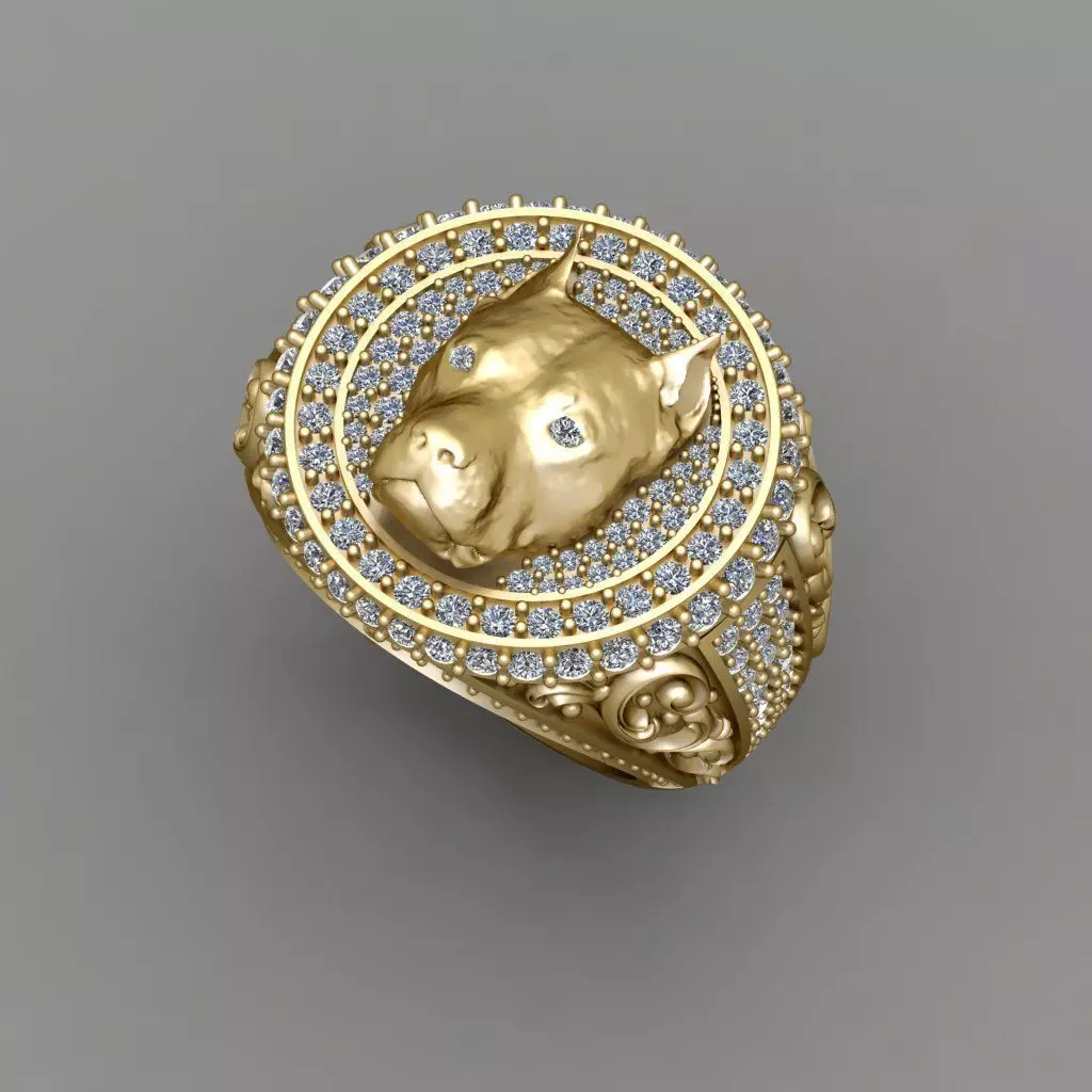 American bully Ring 3D Print Model  3D print model_0