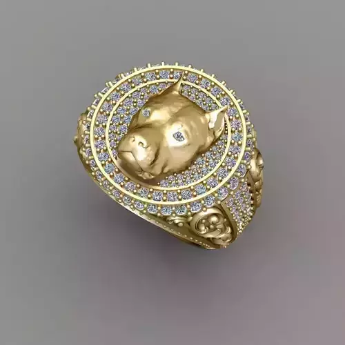 American bully Ring 3D Print Model 