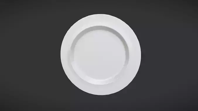 white dinner plate