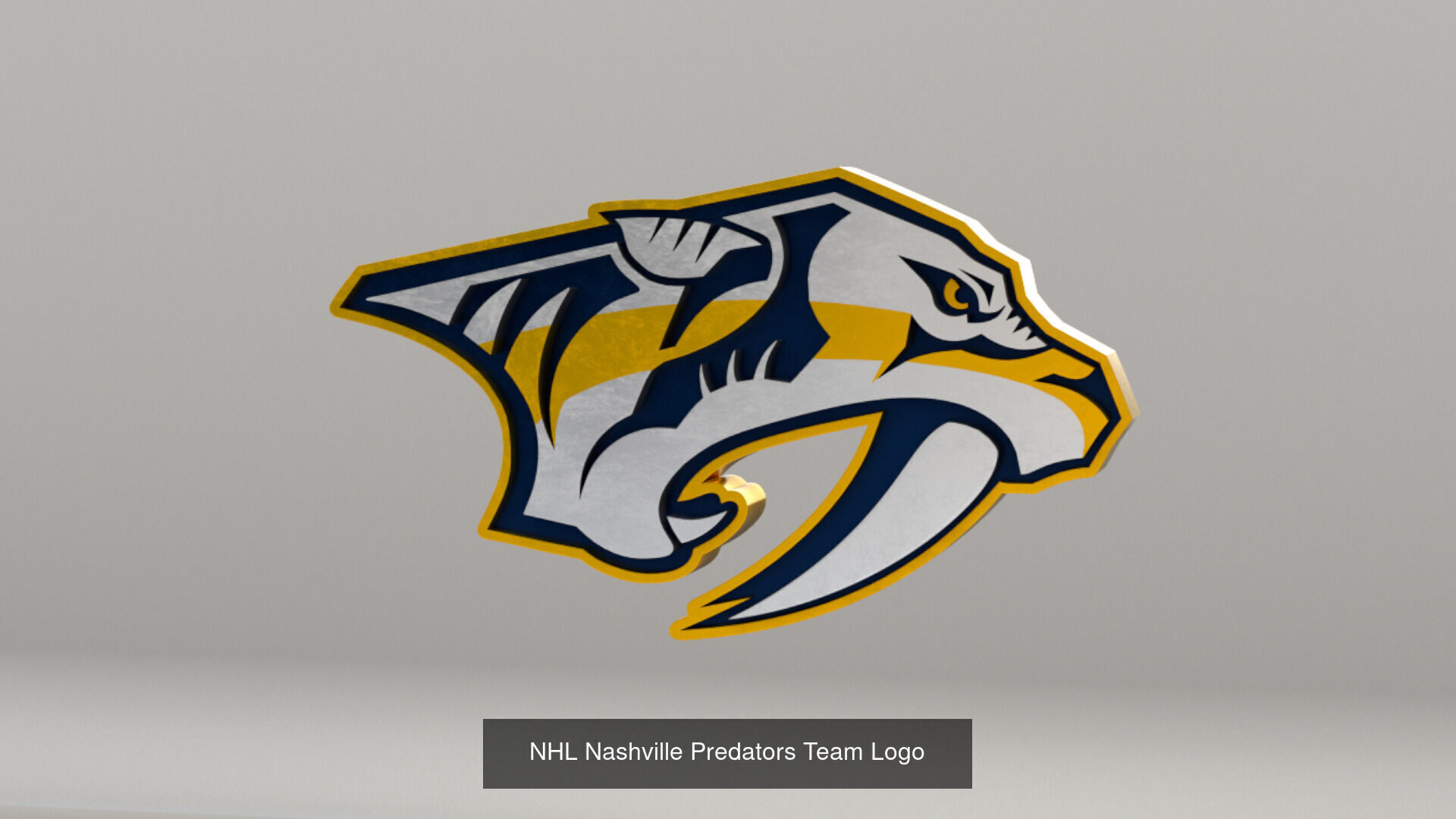 NHL Central Division Teams Logos 3D Model Collection_14