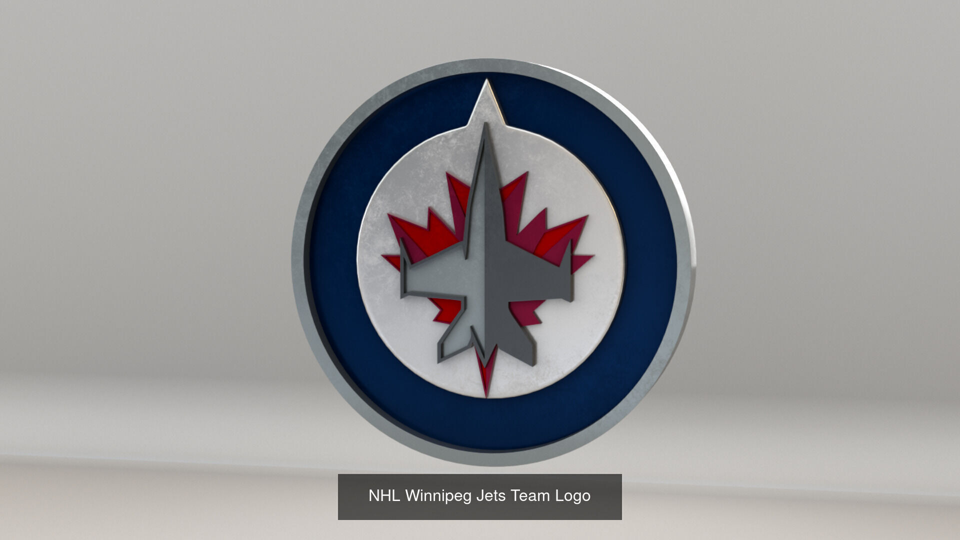 NHL Central Division Teams Logos 3D Model Collection_16