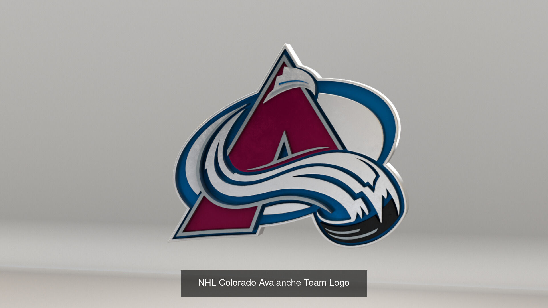 NHL Central Division Teams Logos 3D Model Collection_11