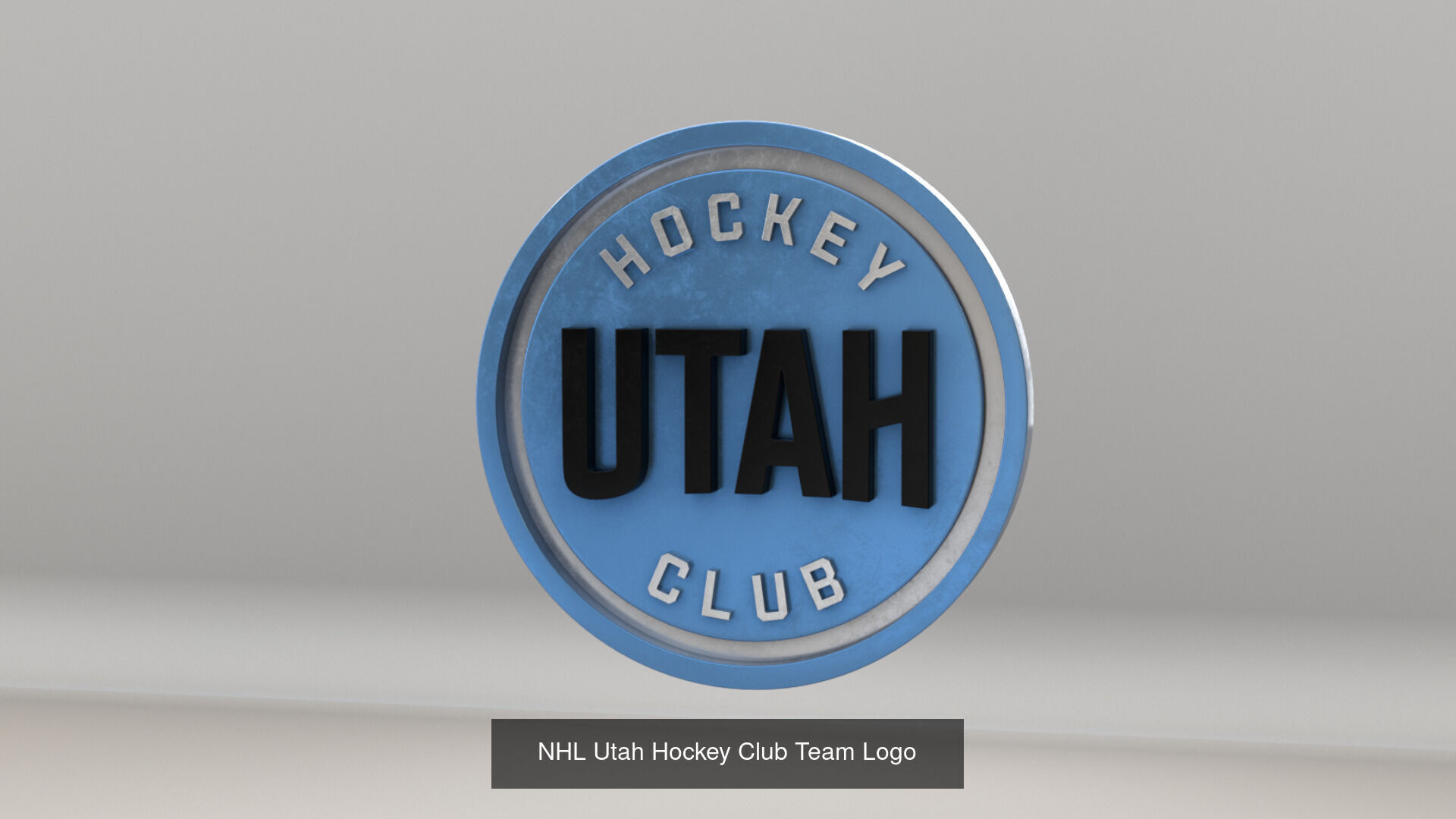 NHL Central Division Teams Logos 3D Model Collection_18