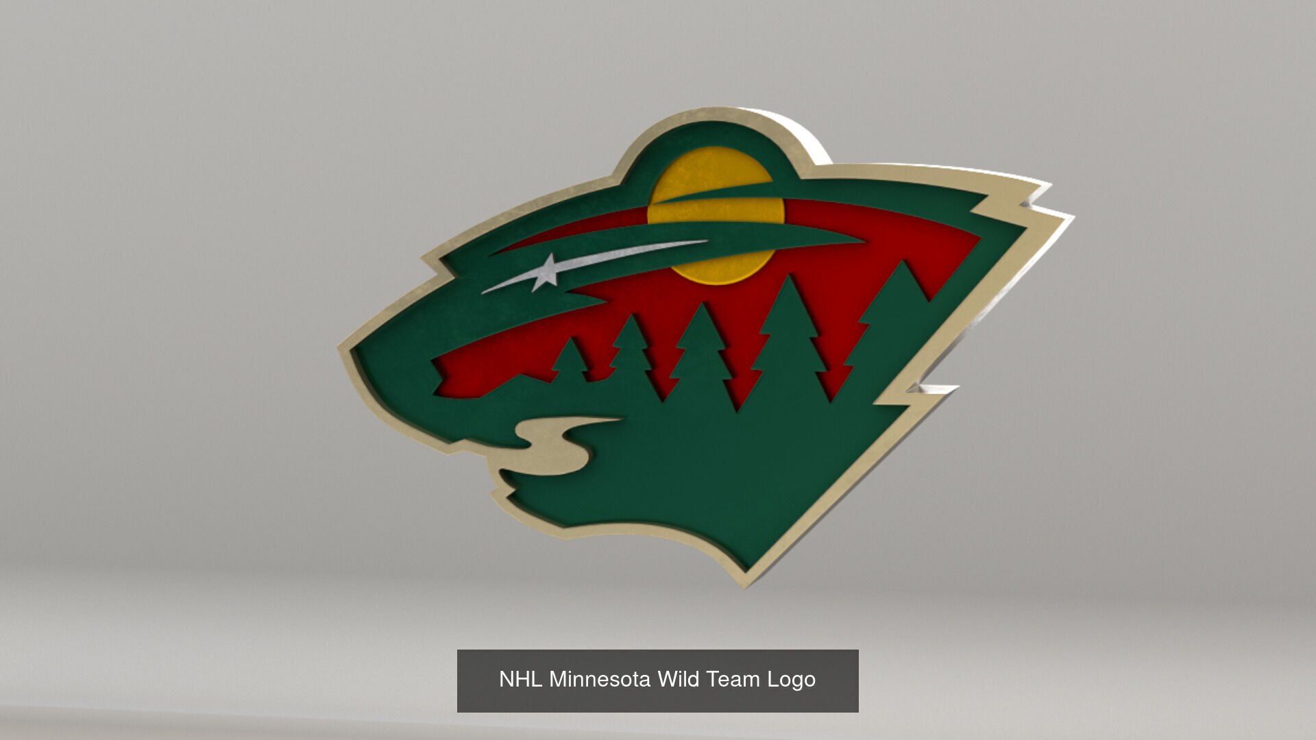 NHL Central Division Teams Logos 3D Model Collection_17