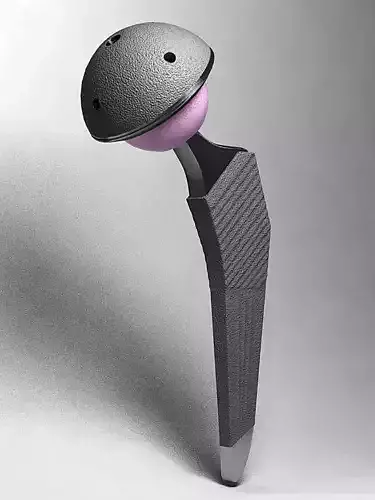 Femoral Prosthesis 3D model