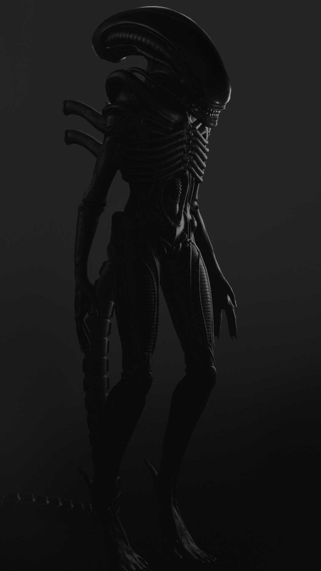 xenomorph drone Low-poly 3D model_2