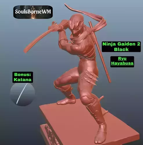 Ninja Gaiden 2 Black Ryu Hayabusa pose 2