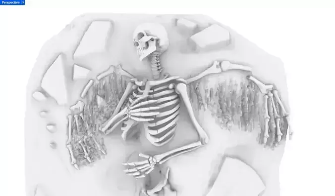 Angel Fossil - Angel Skeleton - Fallen angel 3D print model