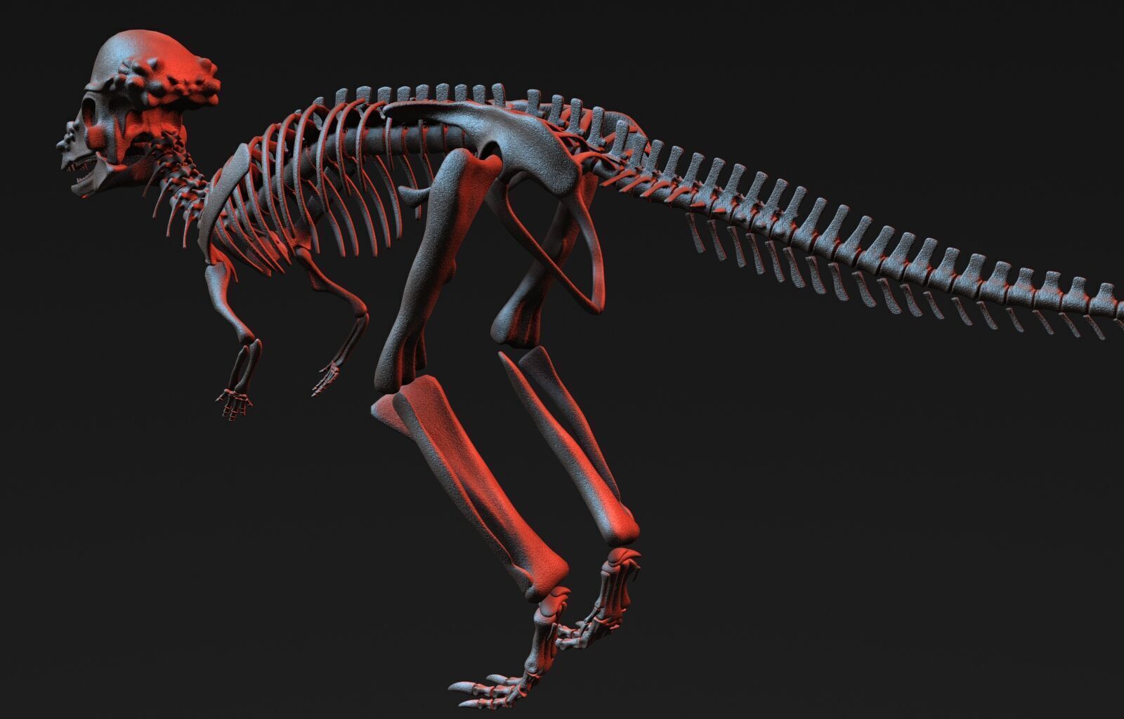 Pachycephalosaurus Skeleton 3D model_2