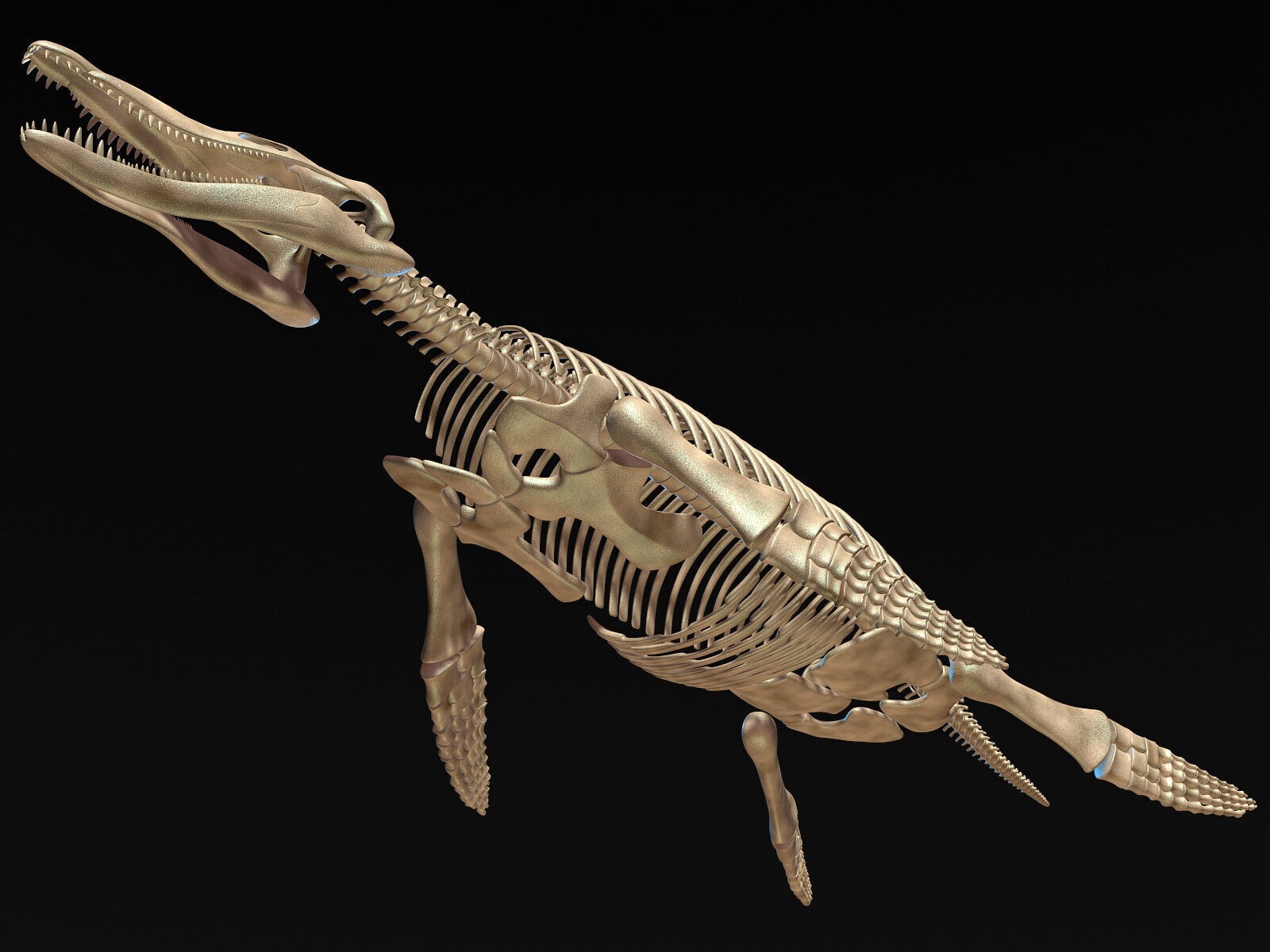 Pliosaur skeleton 3D model_3