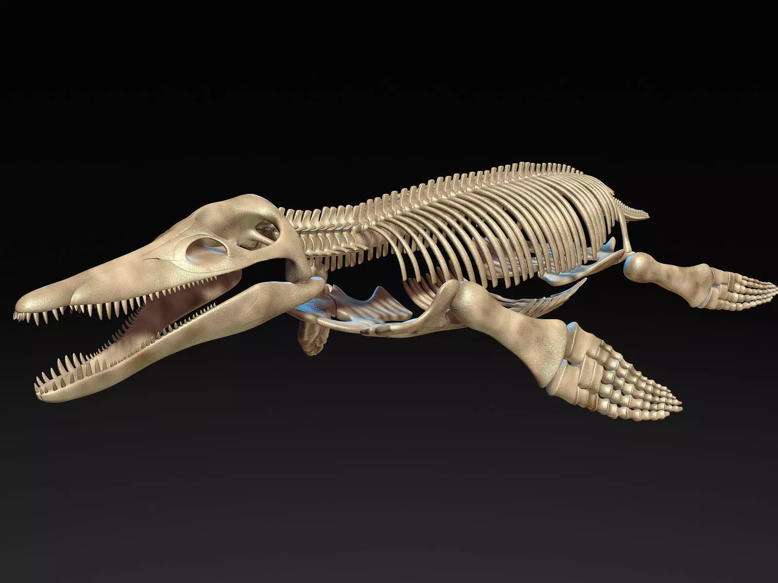 Pliosaur skeleton 3D model_0