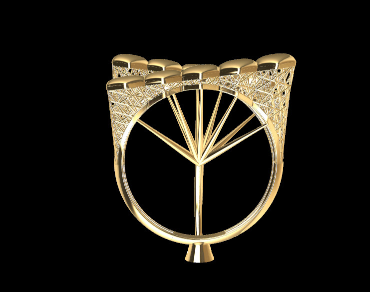 Light weight Ring PRF 04 3D print model_5