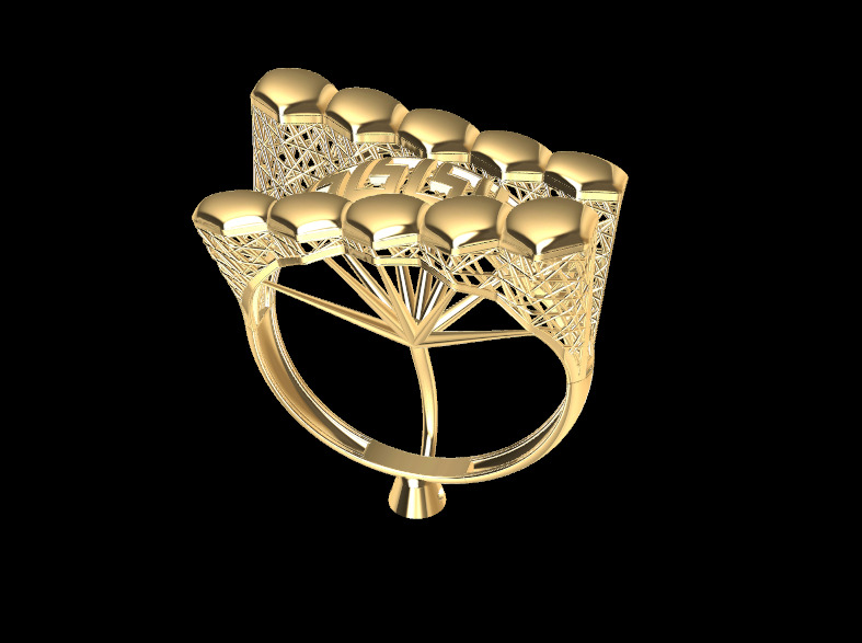 Light weight Ring PRF 04 3D print model_3