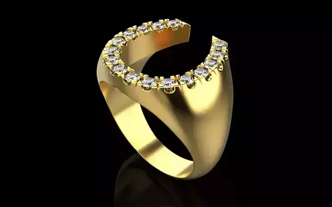 horse shoe ring model 750