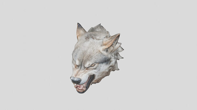 Wolf Head 3D Model Low-poly 3D model