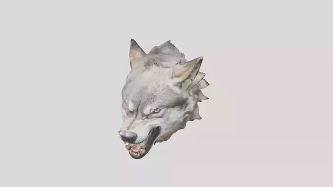 Wolf Head 3D Model