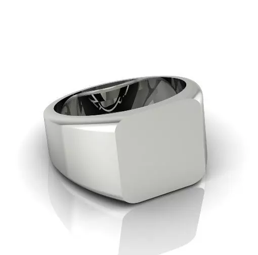 Ring N012813 3D print model_0