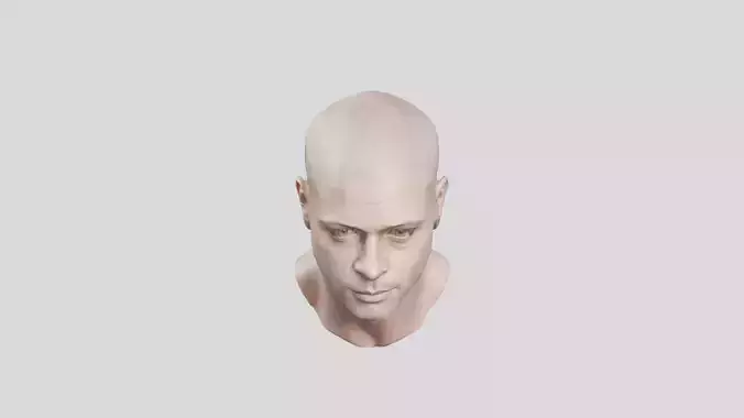 Detailed Man Head Bust