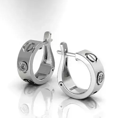 Earrings with bolts N012884