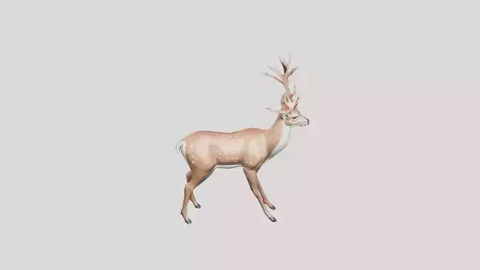 Stylized Whitetail Deer 3D Model