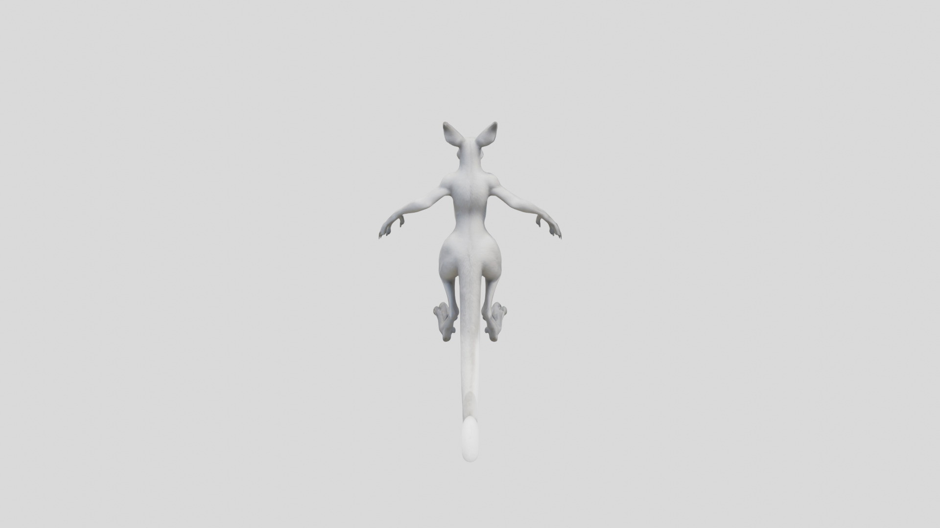Anthro Kangaroo Fox Character Low-poly 3D model_15