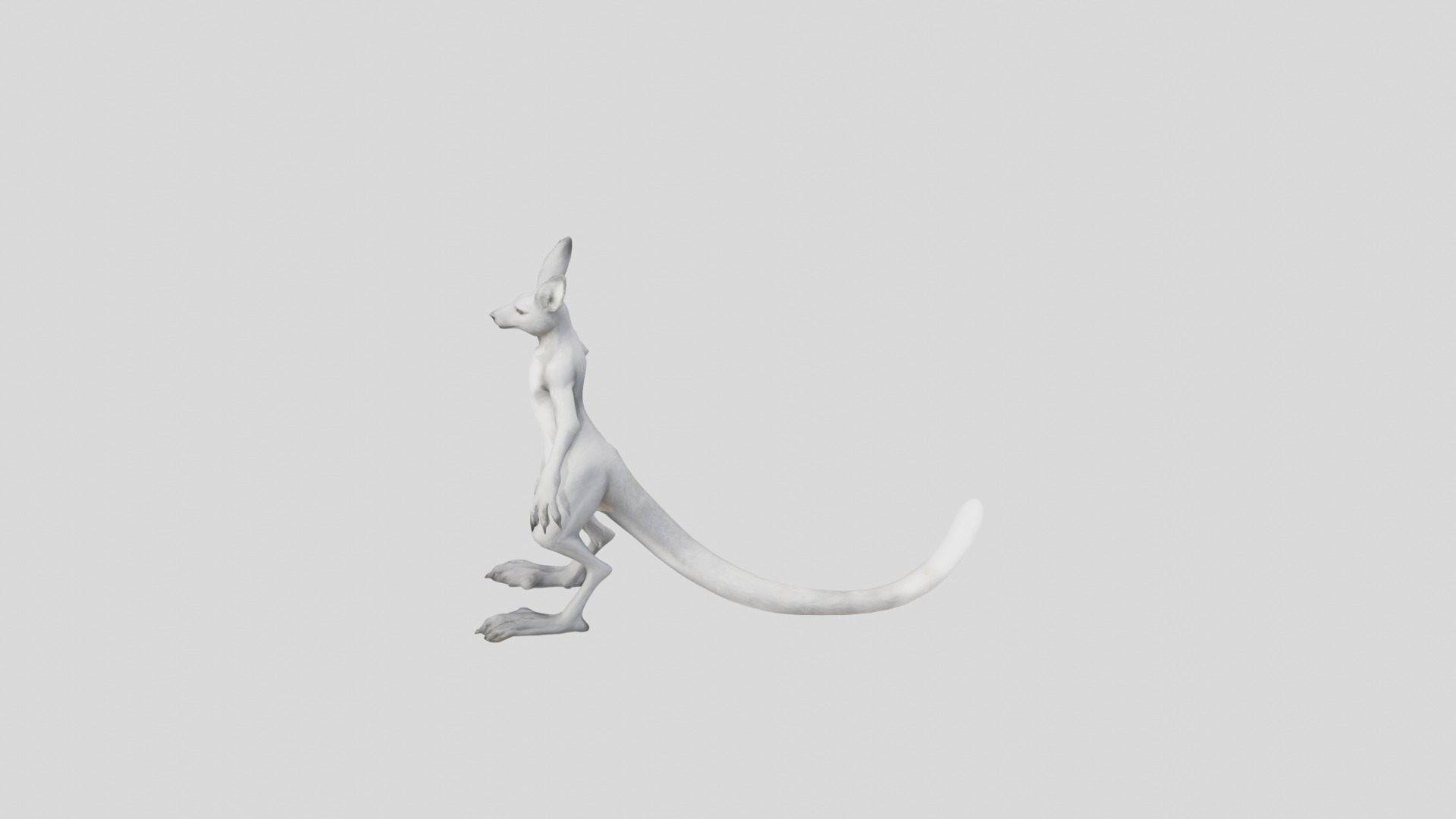 Anthro Kangaroo Fox Character Low-poly 3D model_4