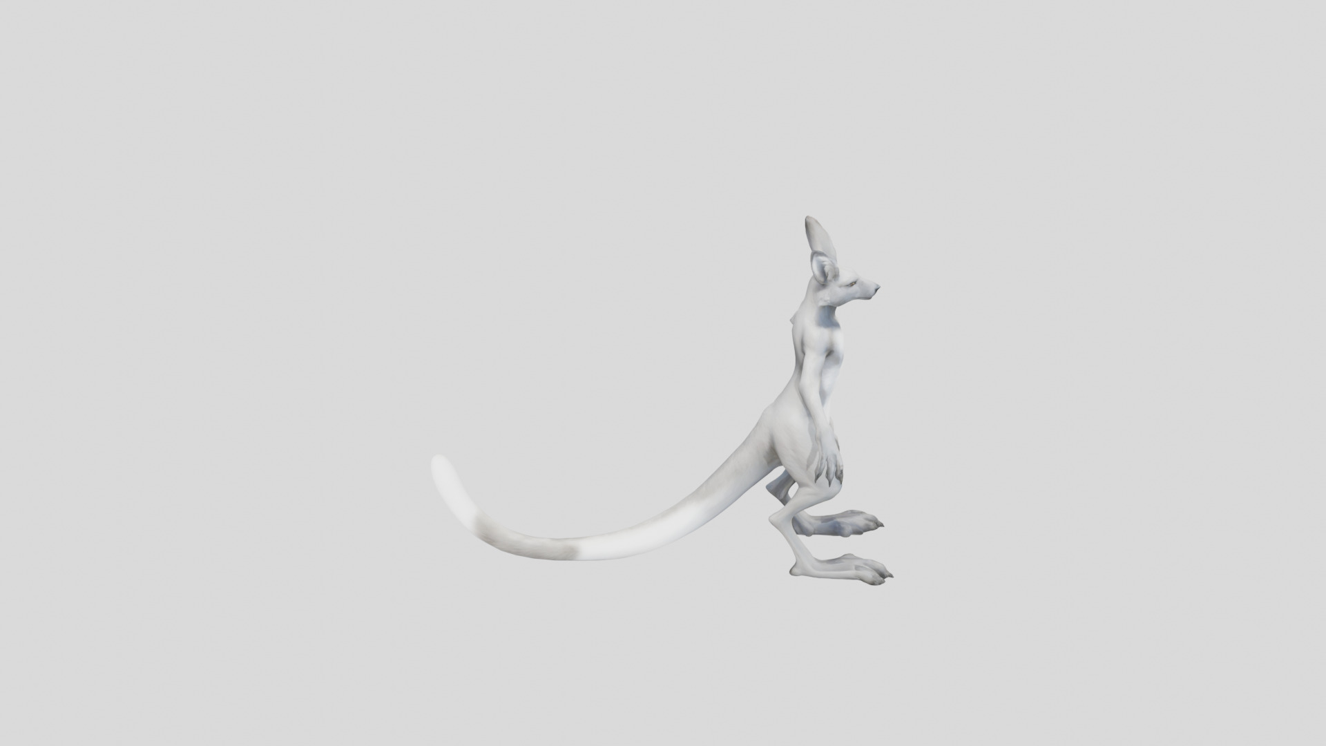Anthro Kangaroo Fox Character Low-poly 3D model_11