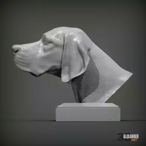 English Pointer bust 3D print model