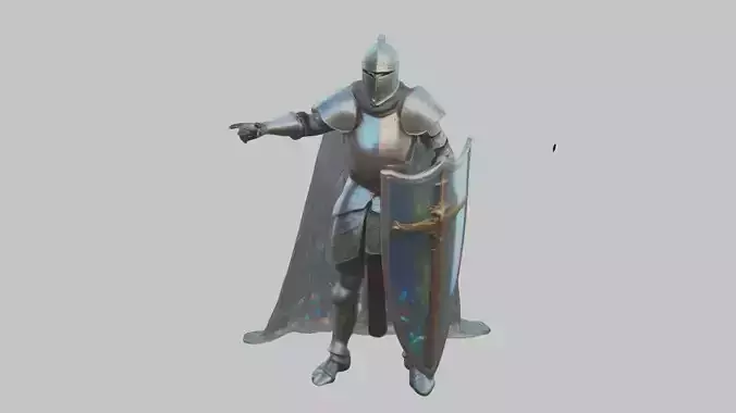 medieval knight Paladin Character