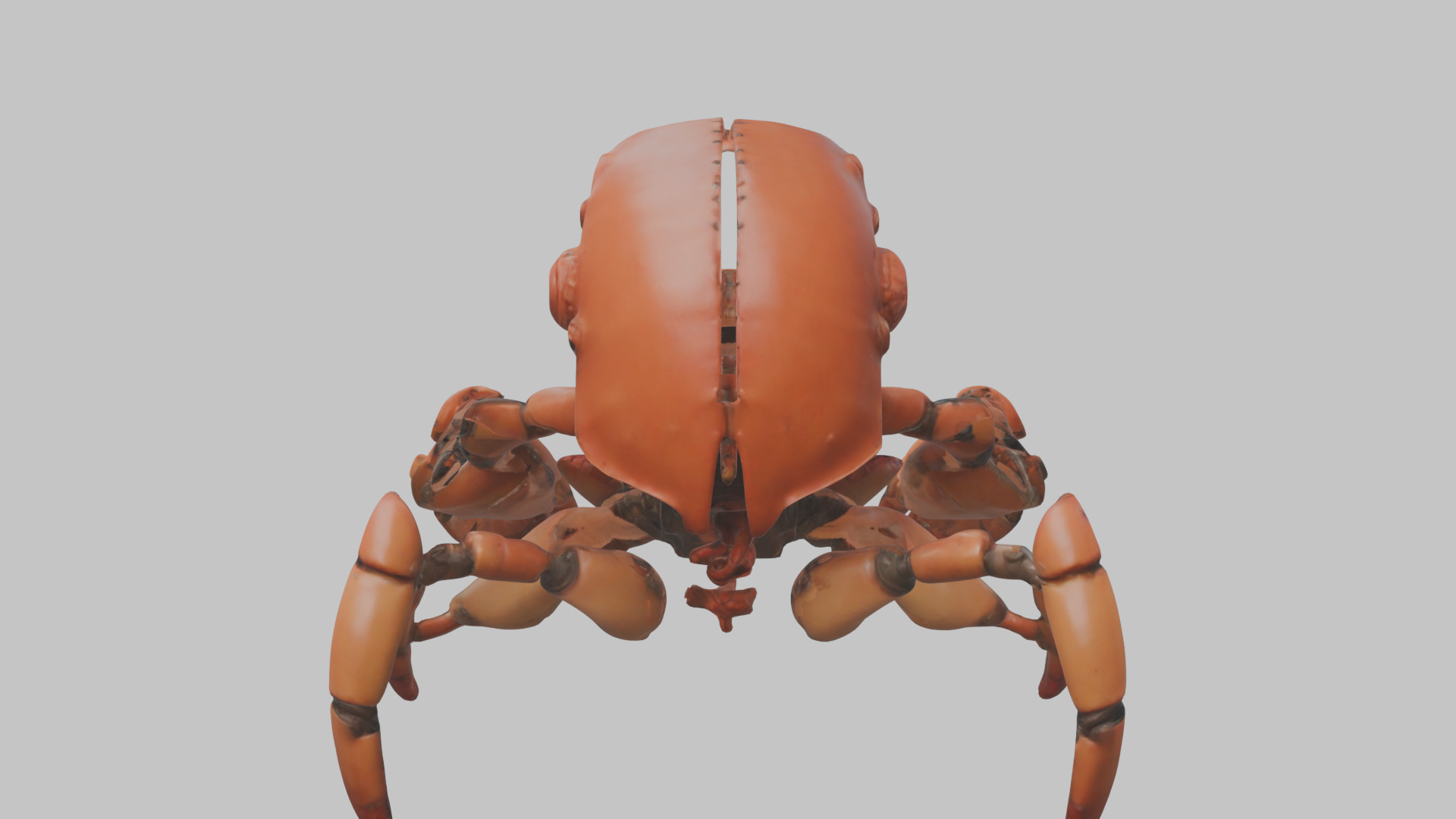 Robot Crab Low-poly 3D model_15