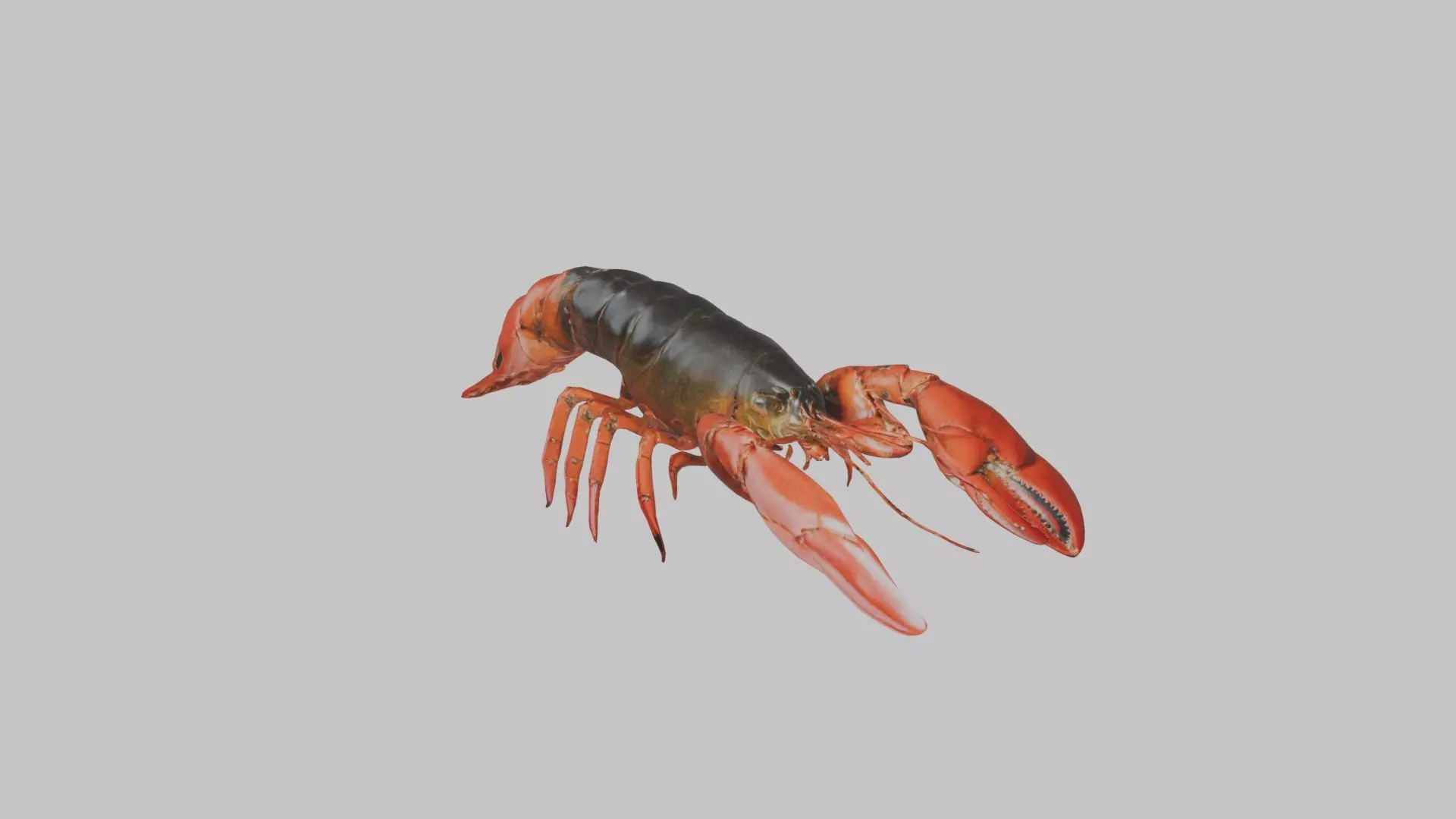 Lobster Low-poly 3D model_0
