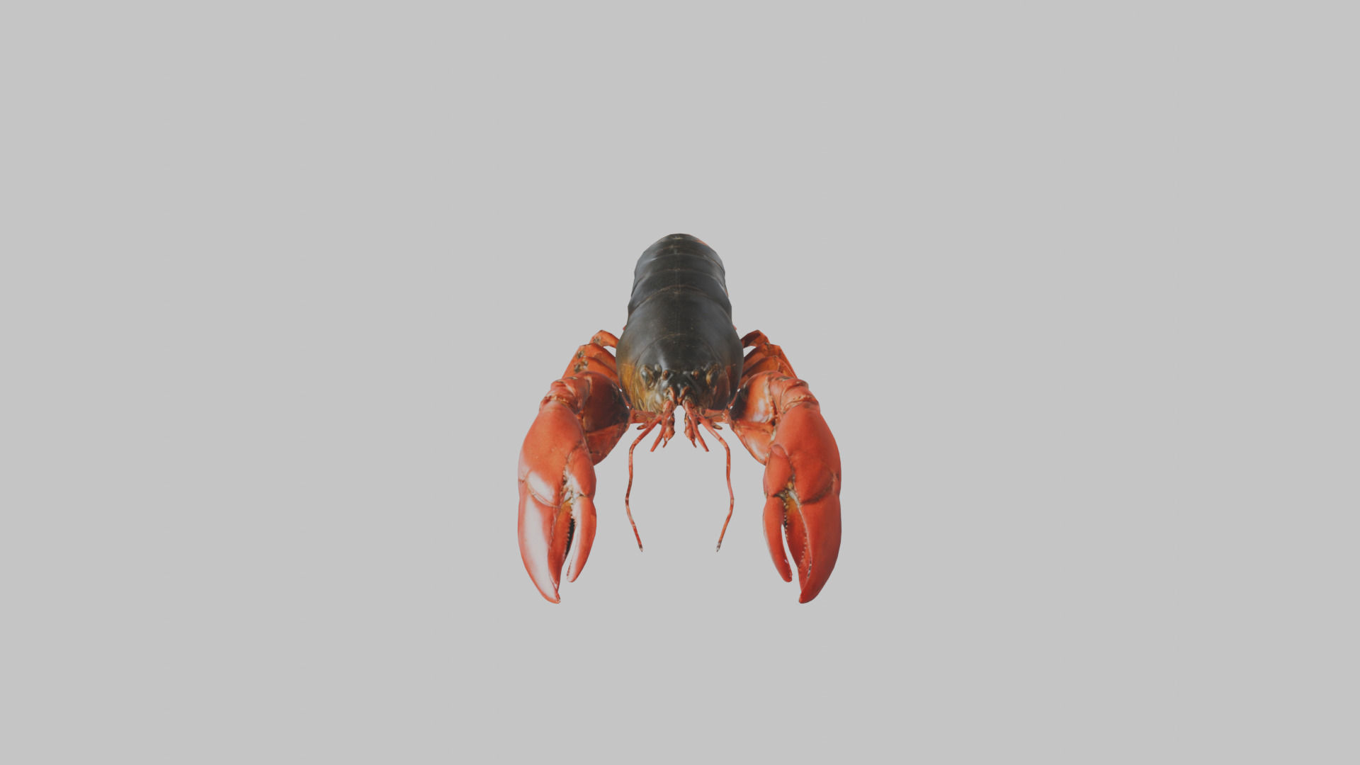 Lobster Low-poly 3D model_1