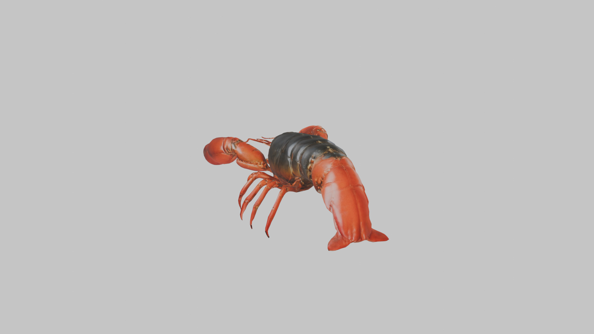 Lobster Low-poly 3D model_2