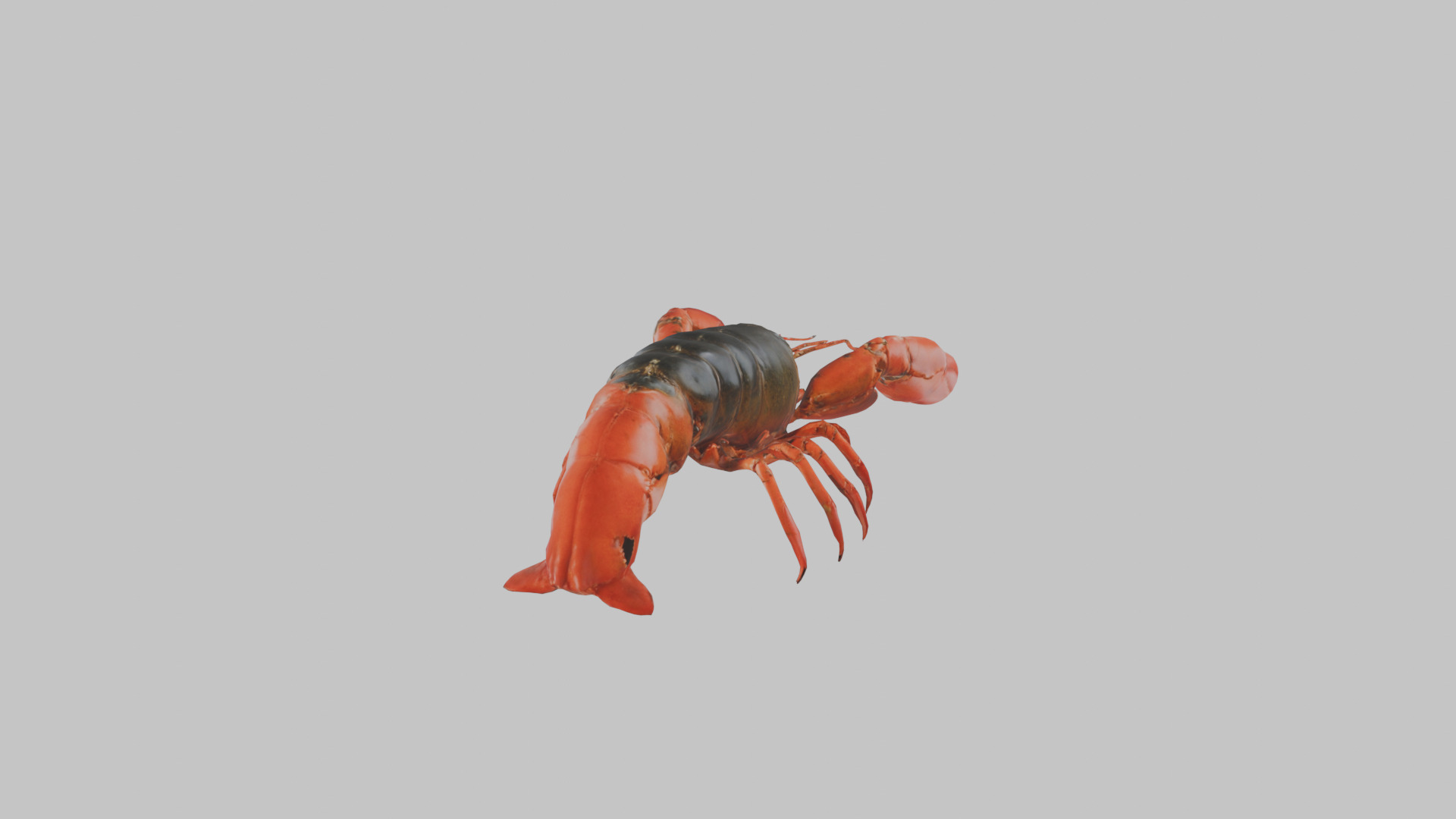 Lobster Low-poly 3D model_14