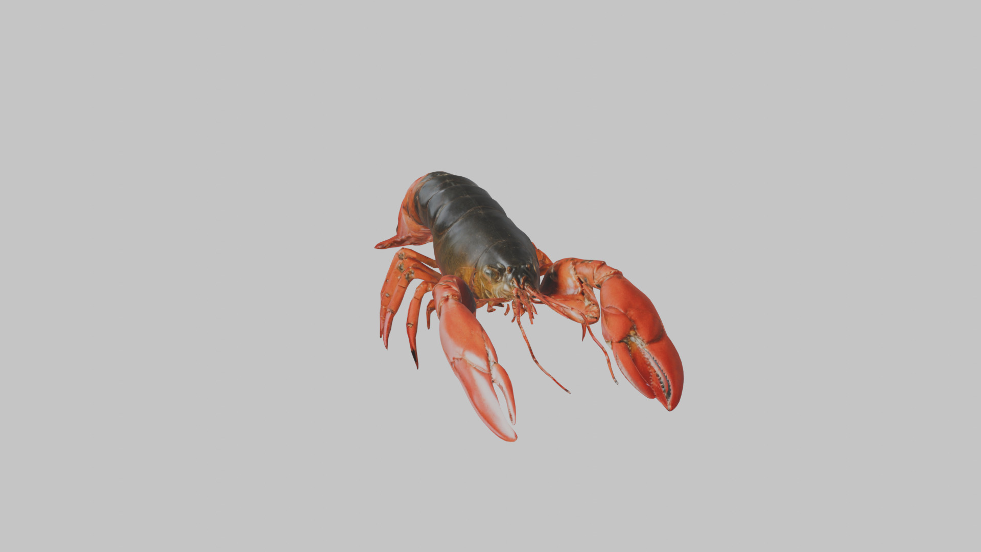 Lobster Low-poly 3D model_9