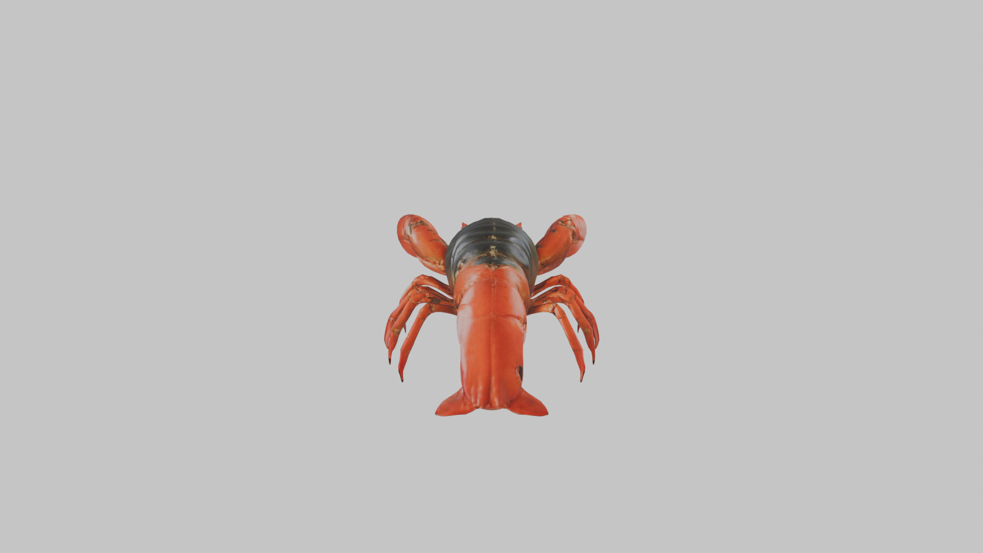 Lobster Low-poly 3D model_15