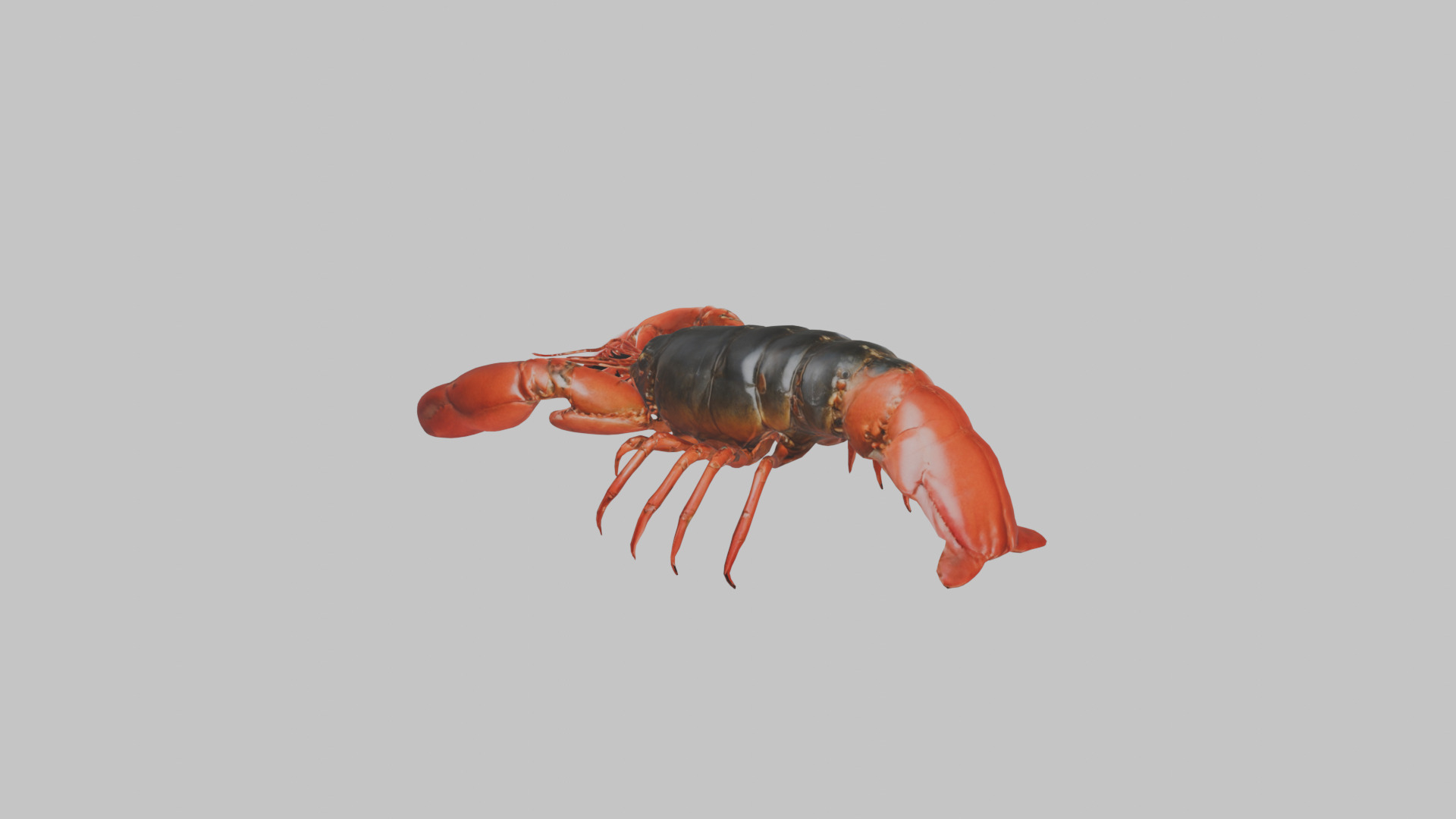 Lobster Low-poly 3D model_3