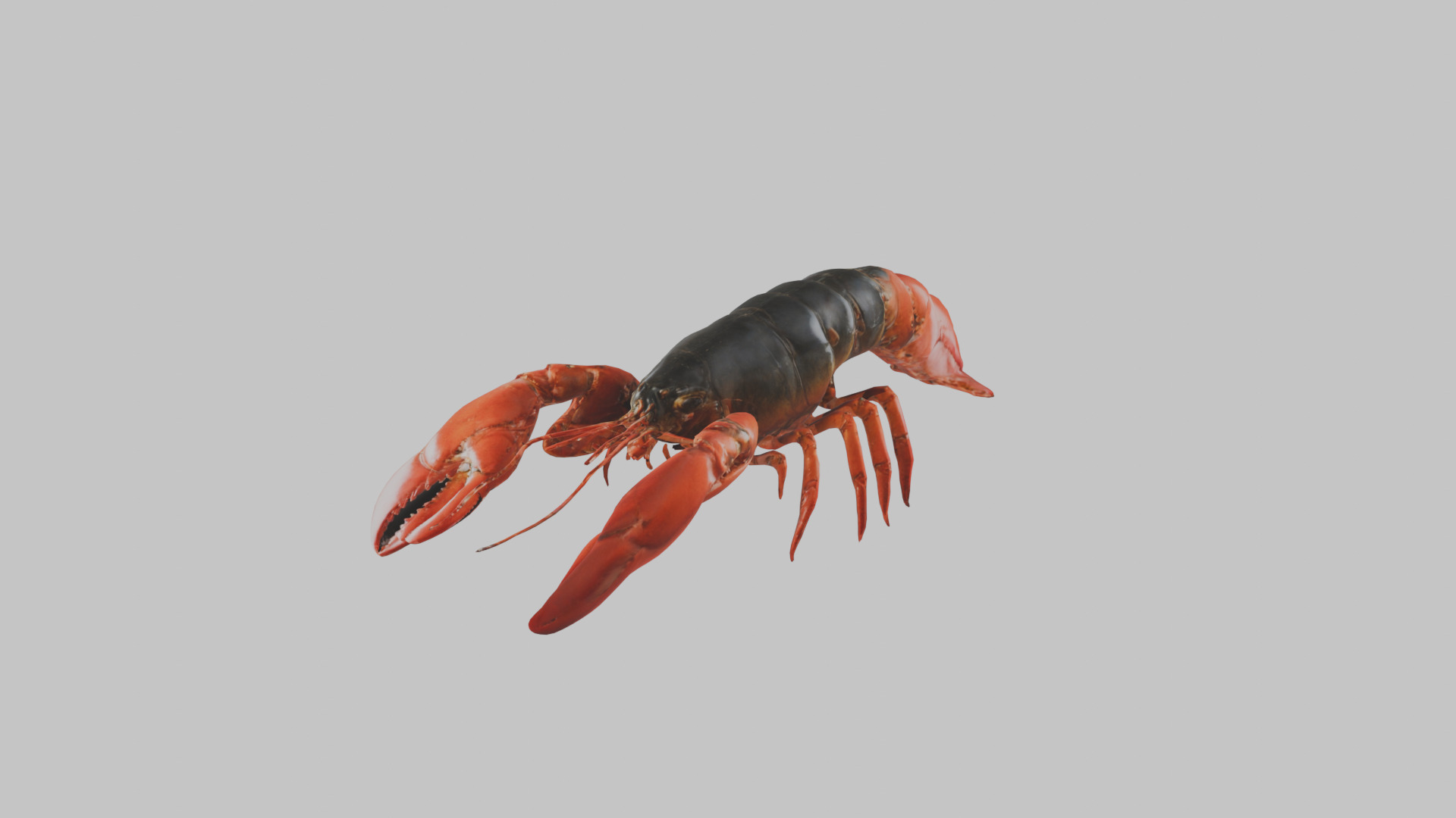 Lobster Low-poly 3D model_7