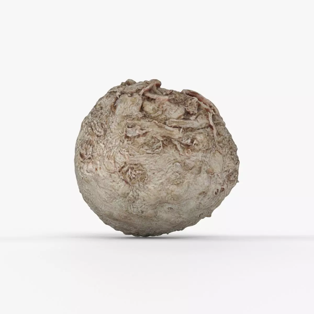 Photorealistic 3D scan of Celery Low-poly 3D model_0
