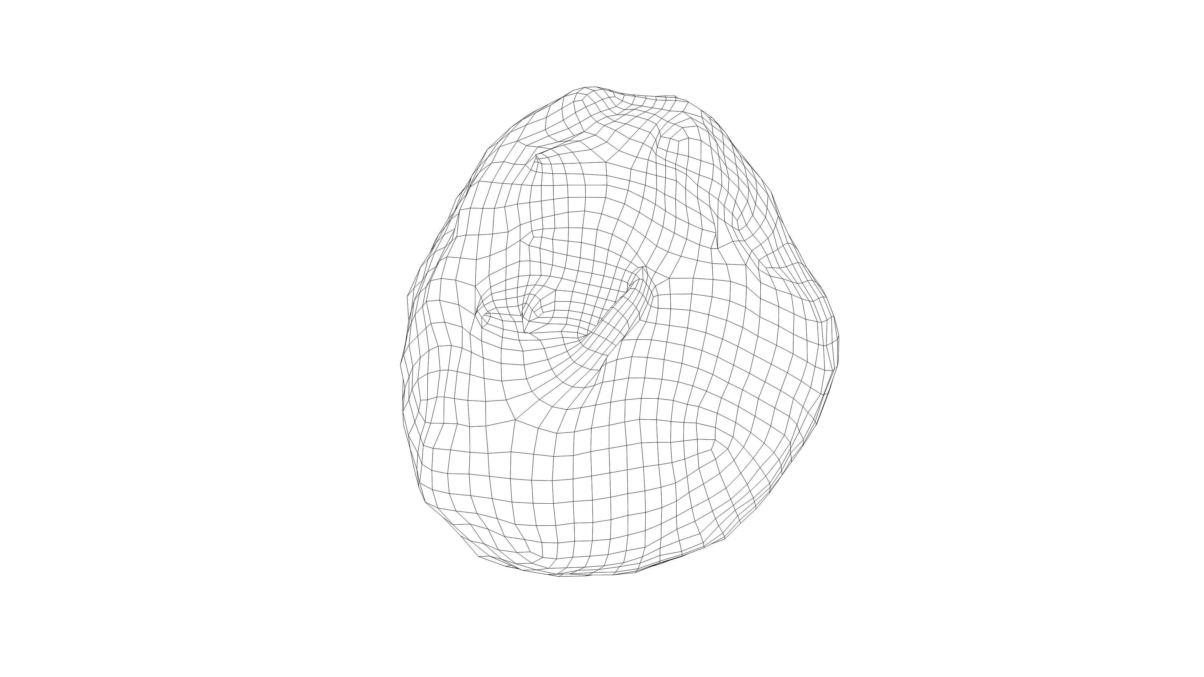 Photorealistic 3D scan of Celery Low-poly 3D model_21