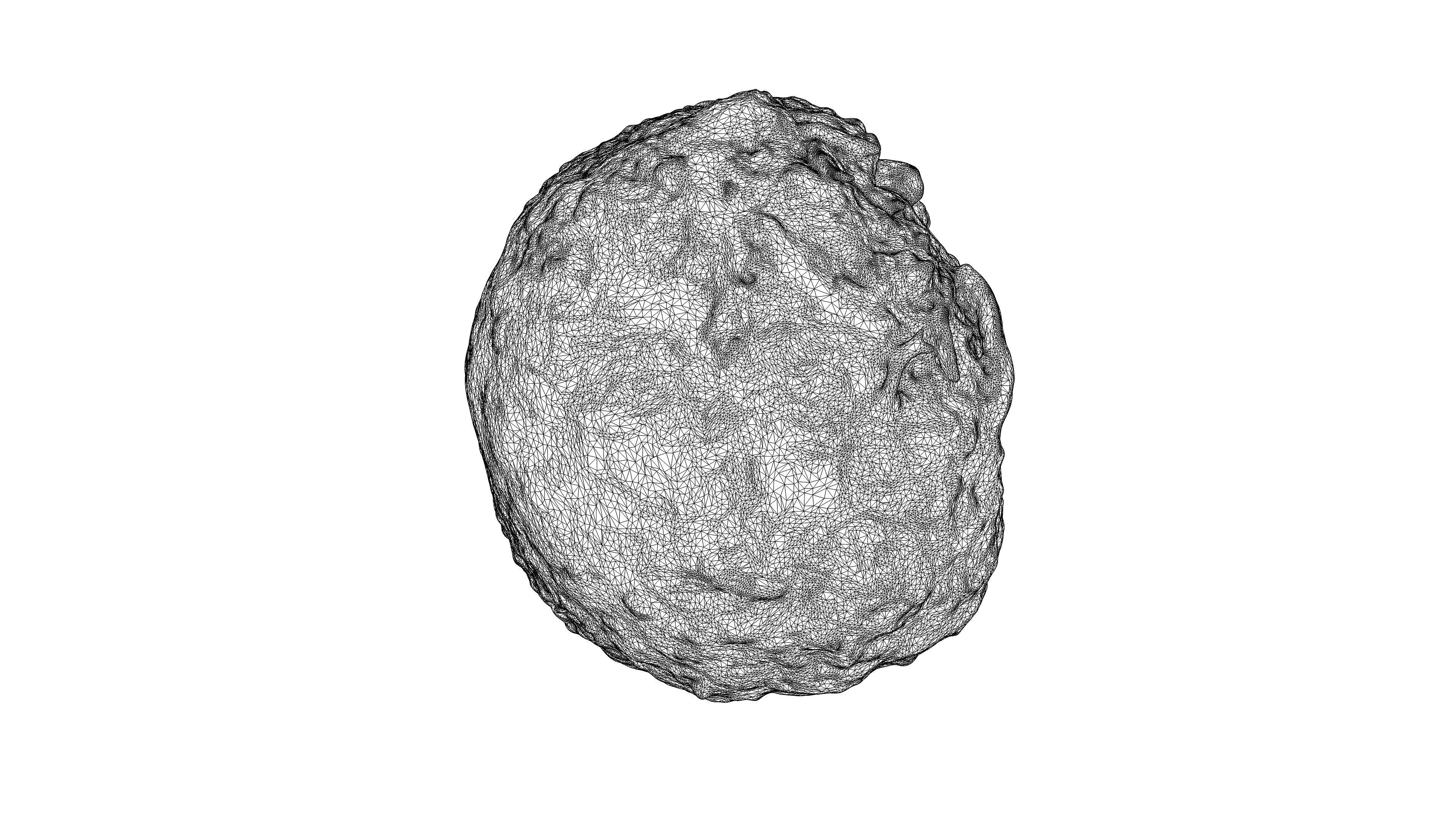 Photorealistic 3D scan of Celery Low-poly 3D model_20